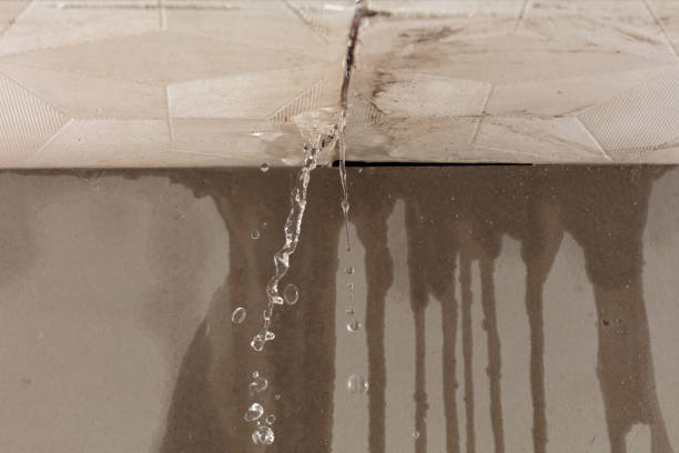 Professional Structural Drying technician working in Morral, OH